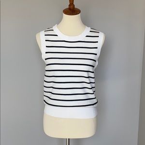 Club Monaco Knit Sleeveless ‘Jacqui’ Sweater